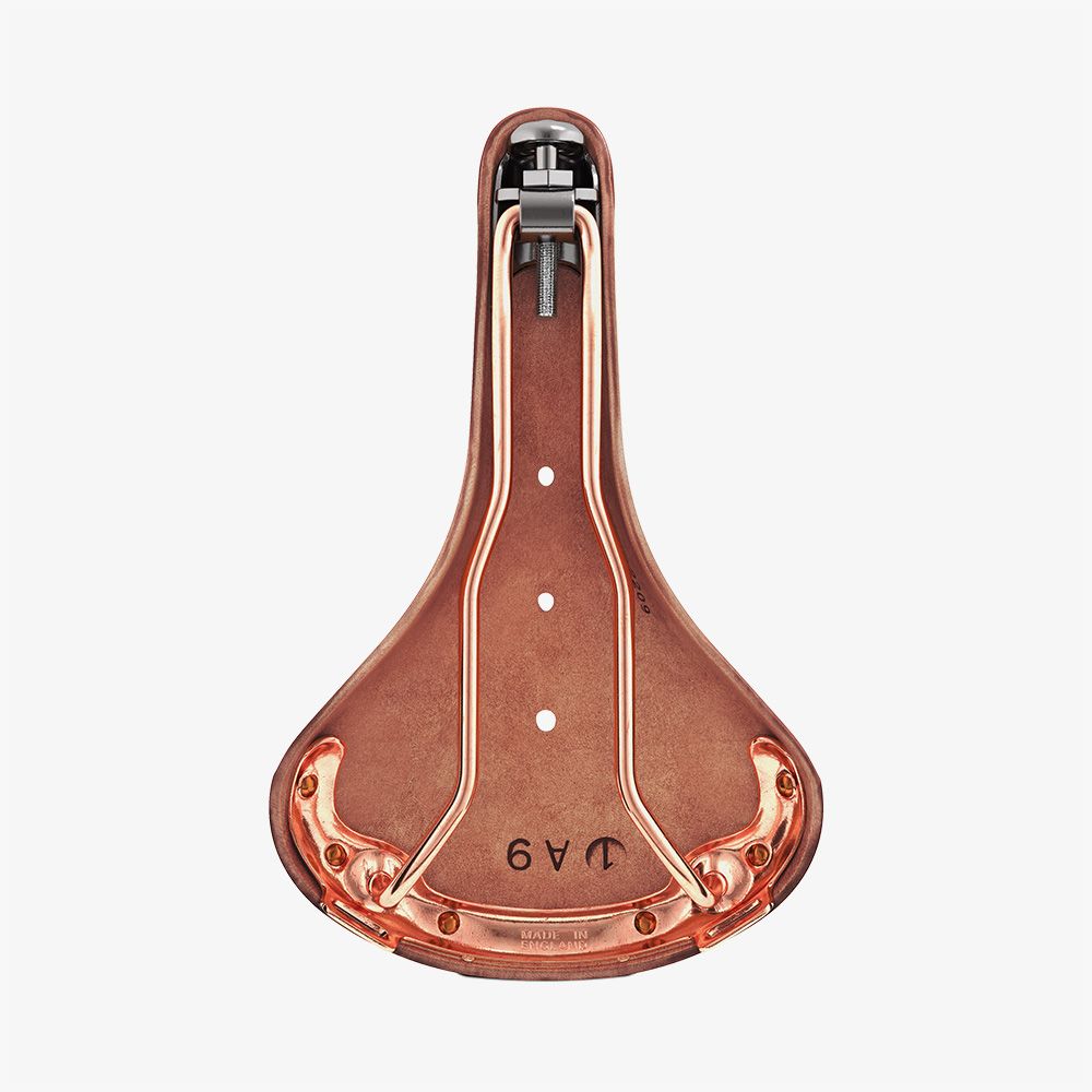 Brooks B17 Special Marrón