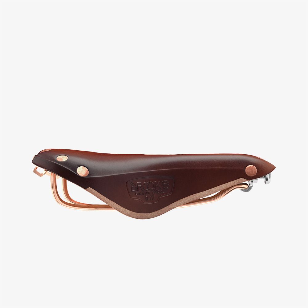 Brooks B17 Special Marrón