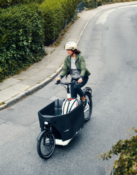 Riese &amp; Müller Packster 70 Automatic Chili Matt