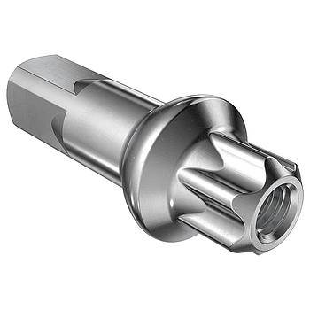 Cabecilla DT Swiss 2.0x15mm Squorx  Aluminio, Prolock, Plata (20 u.)